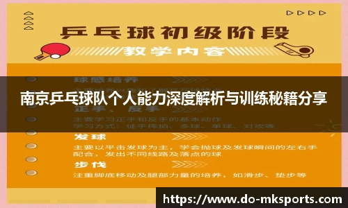 南京乒乓球队个人能力深度解析与训练秘籍分享